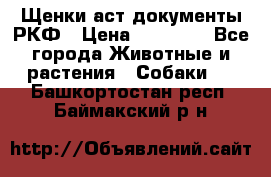 Щенки аст документы РКФ › Цена ­ 15 000 - Все города Животные и растения » Собаки   . Башкортостан респ.,Баймакский р-н